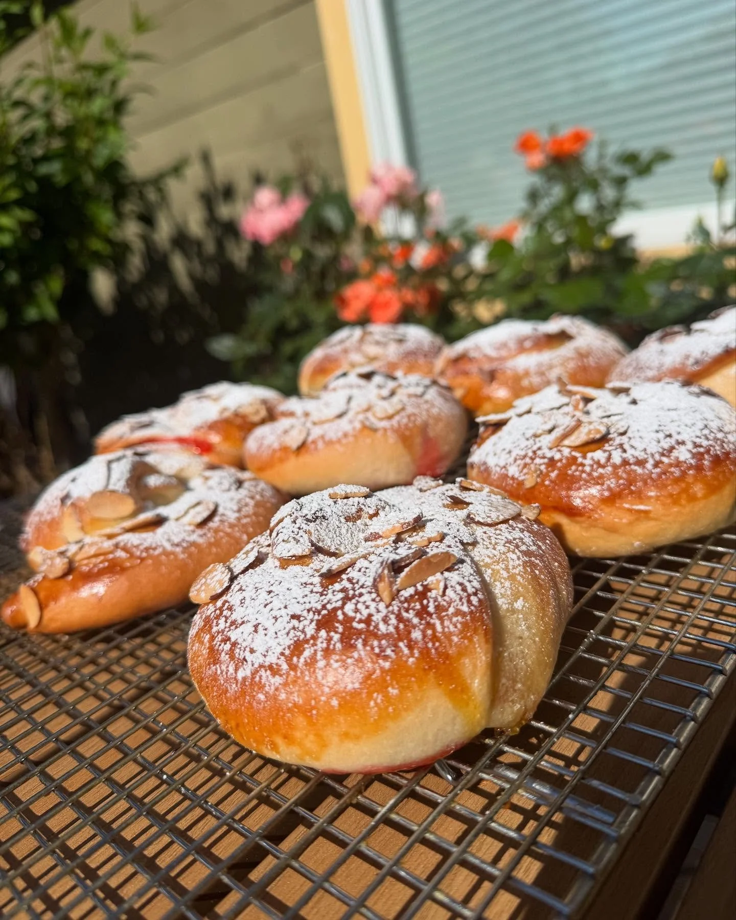 Freshly baked sweet buns with sliced almonds and powdered sugar cooling at Berna's Bakery Issaquah